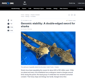 Genomic Stability: A Double-Edged Sword for Sharks