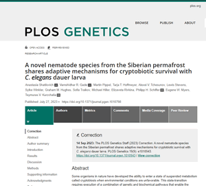 Worm Survived 46,000 Years in Permafrost Using Adaptive Mechanisms