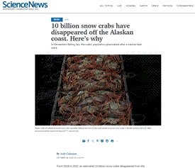 10 Billion Snow Crabs Have Disappeared Off the Alaskan Coast